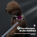 Ver la foto 7