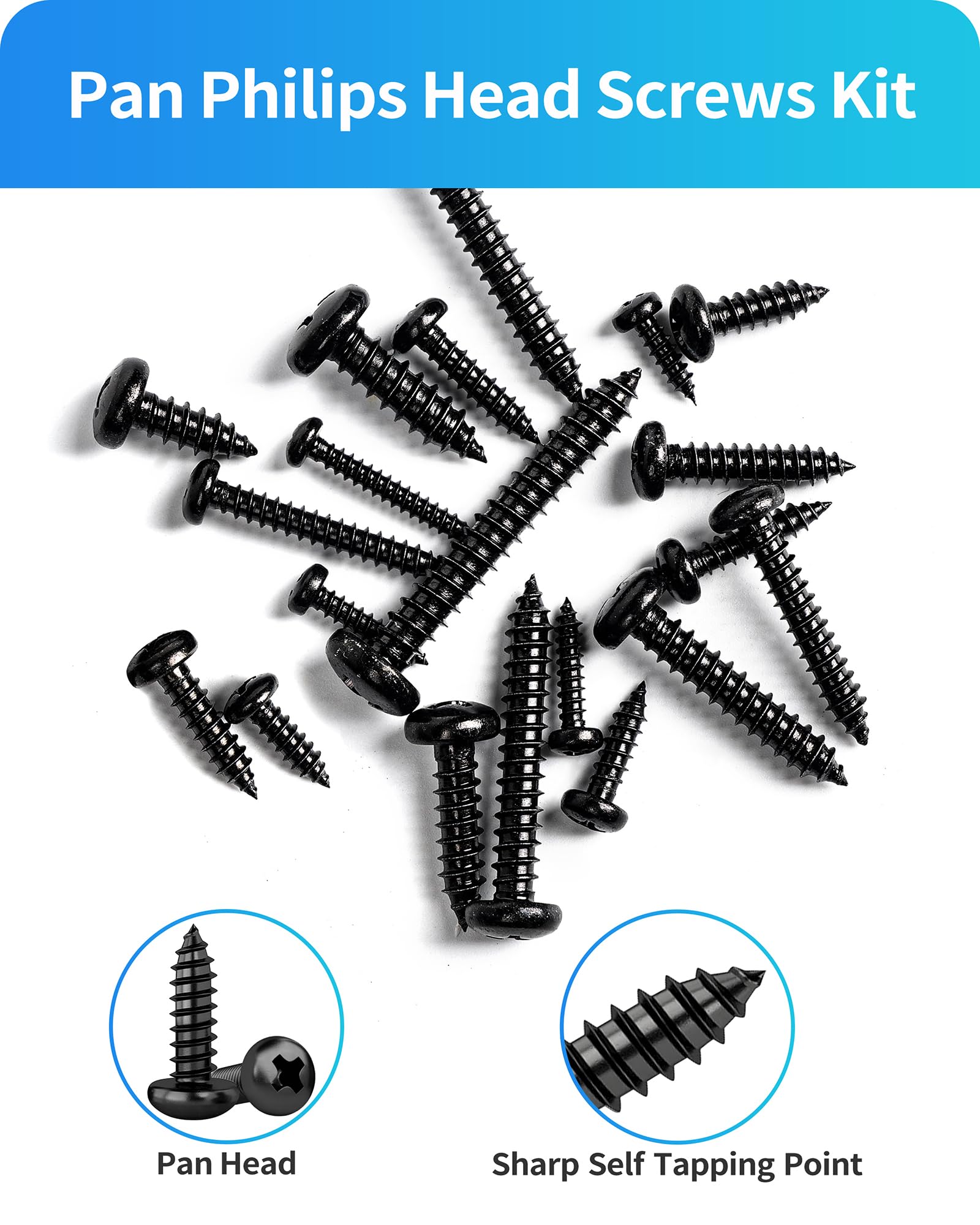 Kit assortito di 550 viti per legno in acciaio inossidabile 304 nero, viti autofilettanti a testa cilindrica Phillips, viti autofilettanti per legno, #4#6#8#10#12 (testa a testa piatta nera