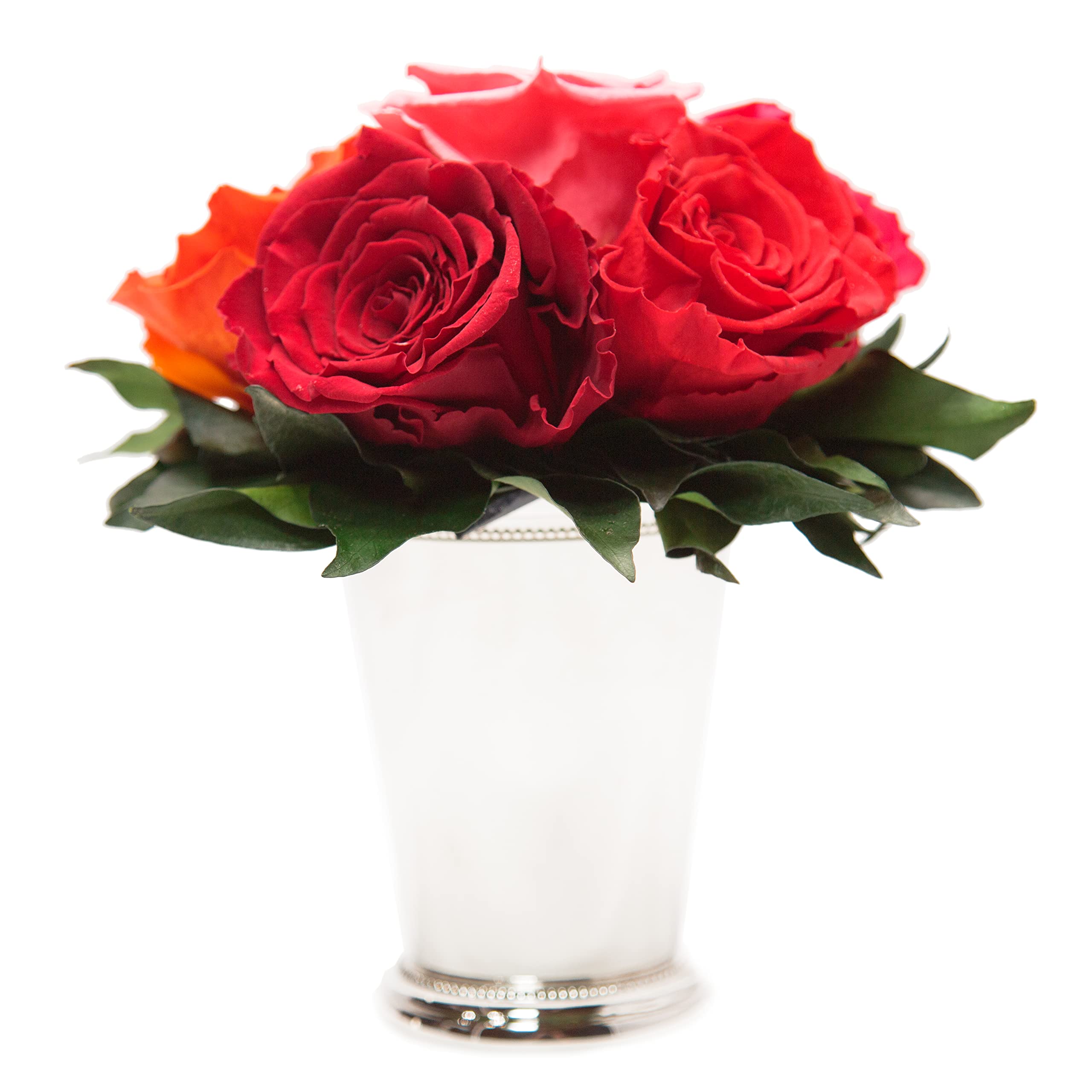 Rosengesteck 6 konservierte Rosen mit Efeublättern Infinity Rosenbox rund 3 Jahre haltbar Ø 20-23 cm Höhe 21 cm