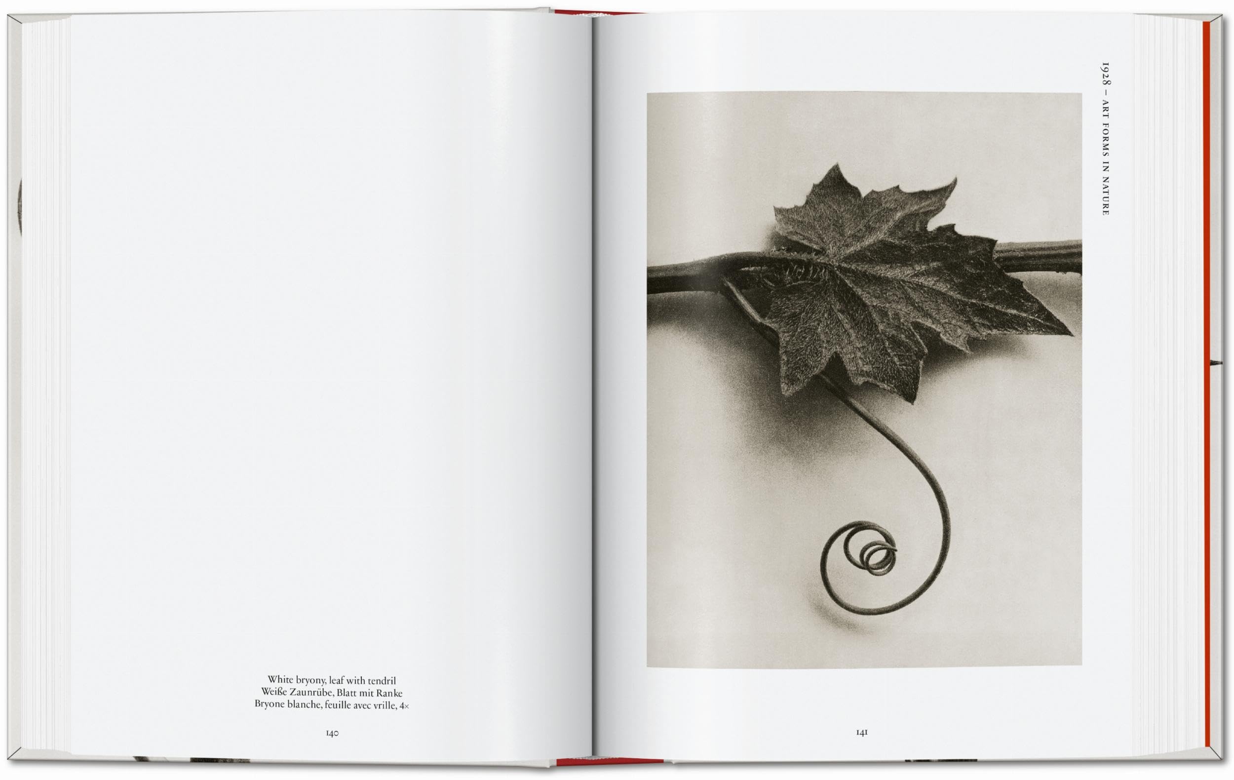 Karl Blossfeldt. The Complete Published Work. 45th Ed. (45th Edition)