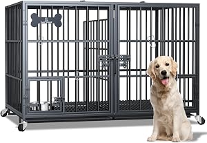Pet Supplies
