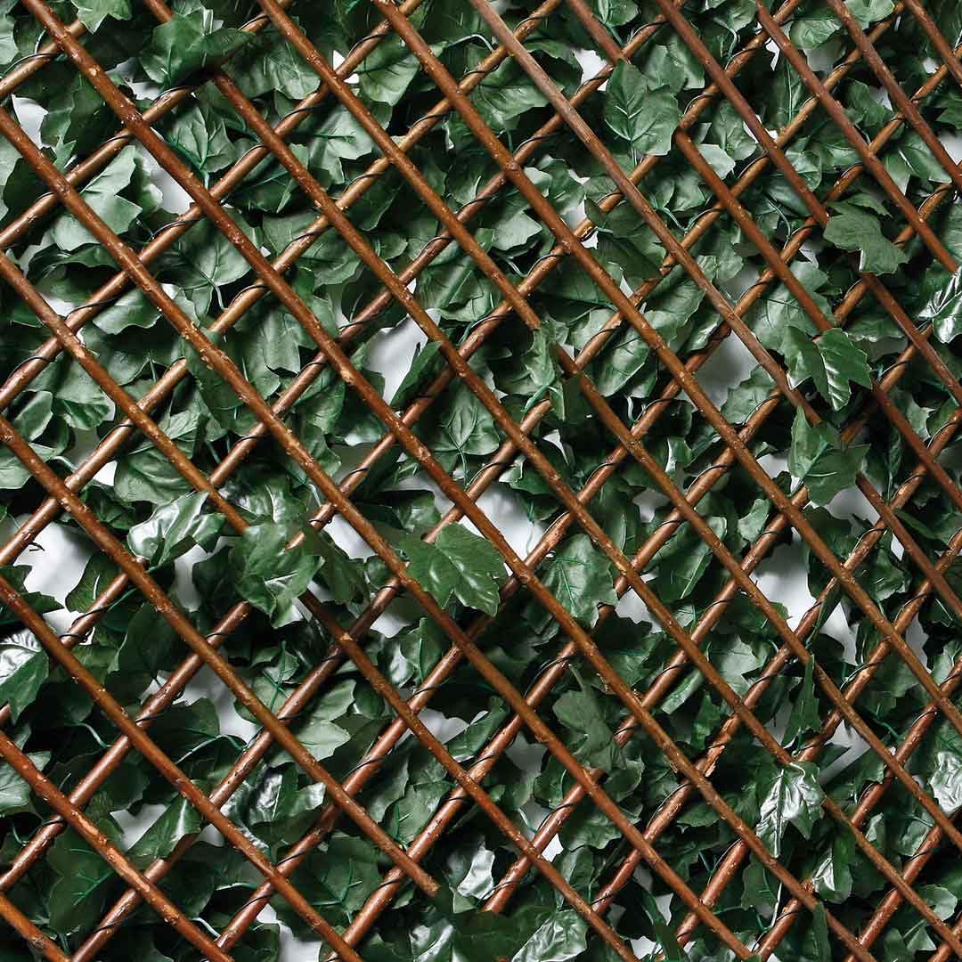 Catral | Celosia Extensible Con Hojas Basic 1x3 M | Decoración Exterior | Jardinería | Perfecto Para Ambientes Modernos