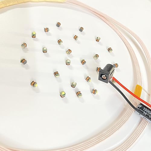 Miniatura 8 de Taidacent LED inalámbricos de larga distancia de 24 V y 10.630 in y bobina LED inductivo inalámbrico grande (solo 10 LED azules sin bobina inductiva)