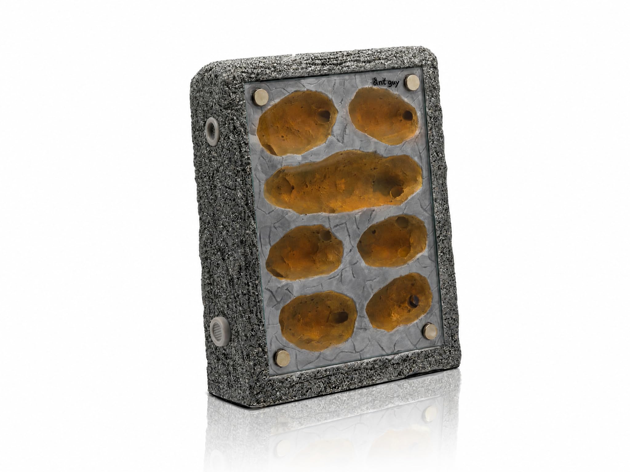 Formicarium Ameisennest Ameisenfarm in Granitoptik für Ameisen