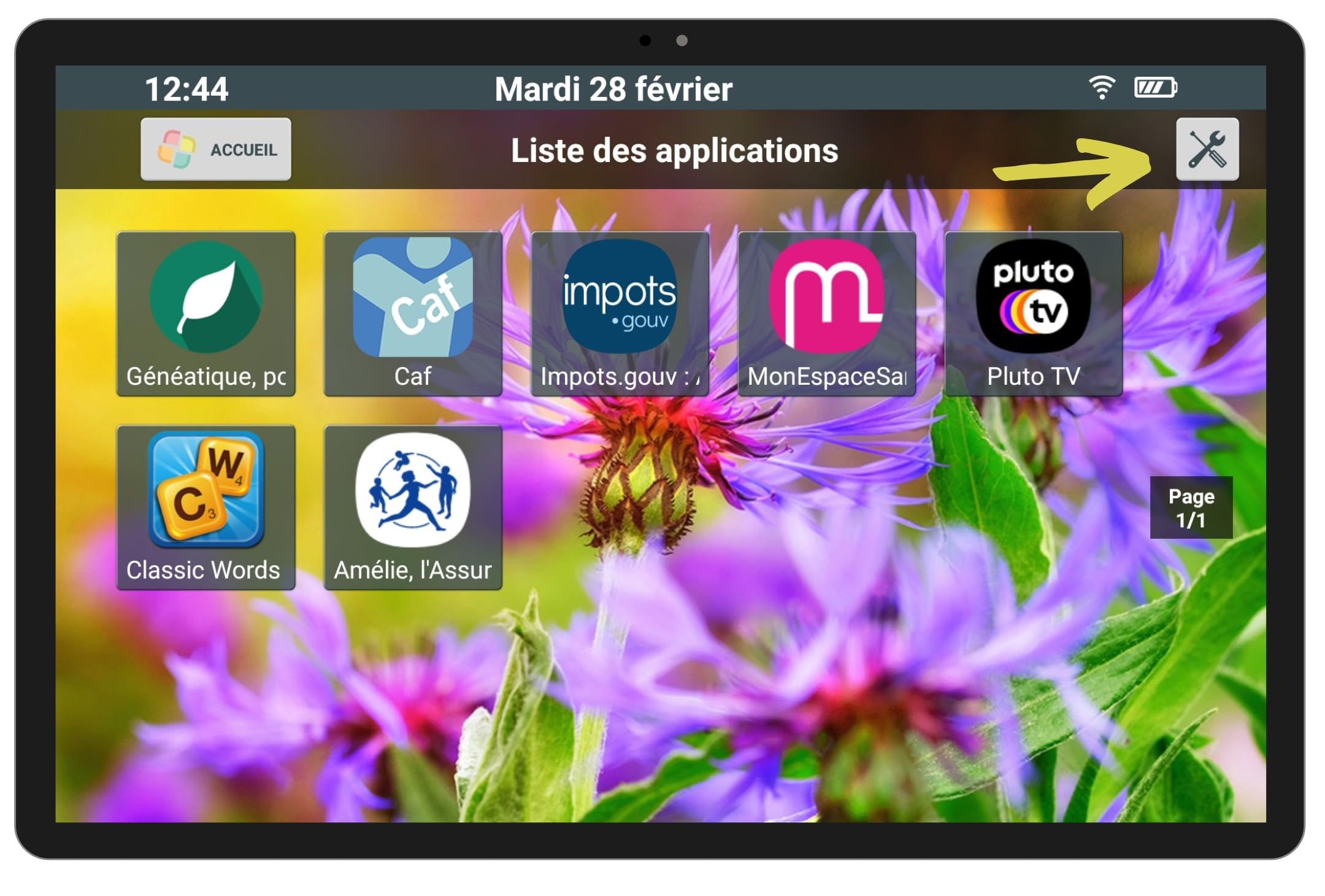 FACILOTAB - Tablette Senior - Simple et Intuitive, Idéal pour Personne Âgée - Très Grand Ecran Tactile Adapté - Camera Avant et Arrière