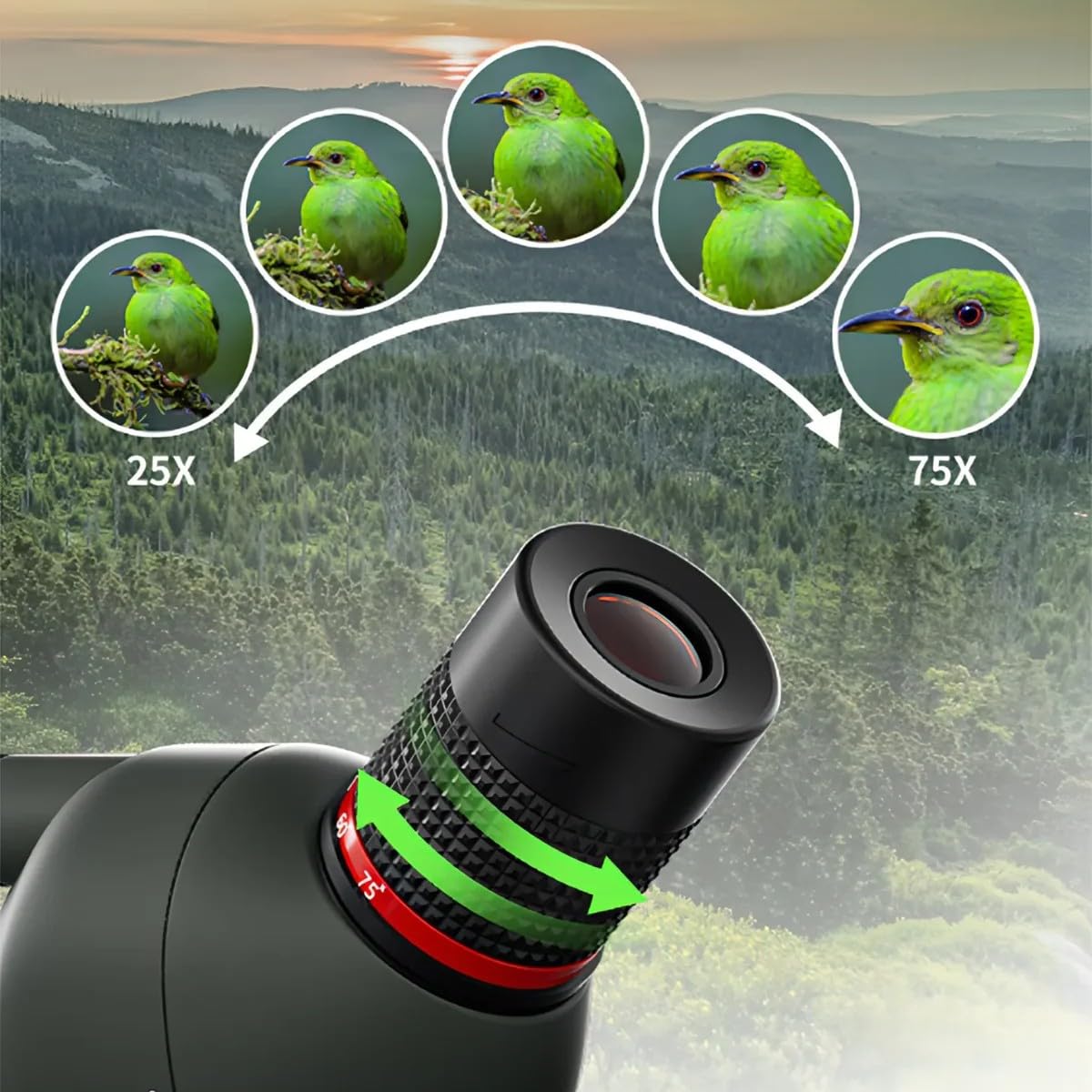 Korons Spotting Scope mit 25-75x70 mm Zoomobjektiv(Grũn)