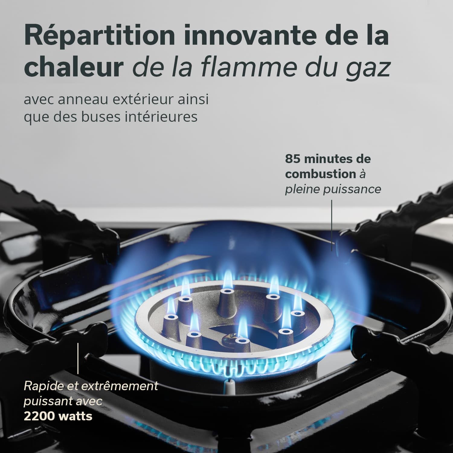 Skandika Réchaud à gaz Brann | 1 feu, réchaud de camping robuste portable pour cartouches de gaz MSF-1A 227 g, acier inoxydable, puissance réglable, allumage PIEZO, mallette plastique | Camping Grill