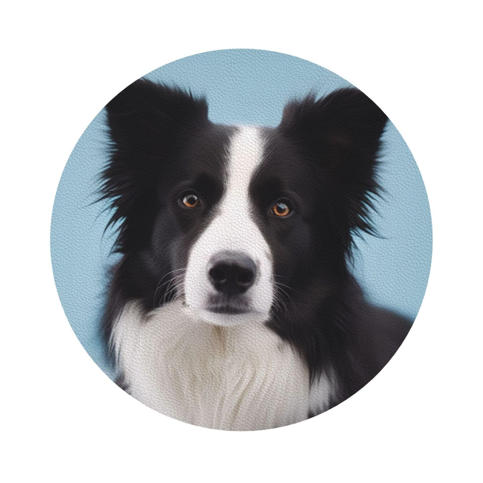 Border Collie Print Leather Coaster Set of 6, Round Shape Coasters Table Decorative Coffee Cup Beverage Coasters Wine Beer Bar Coasters for Hot Drinks Table Protection