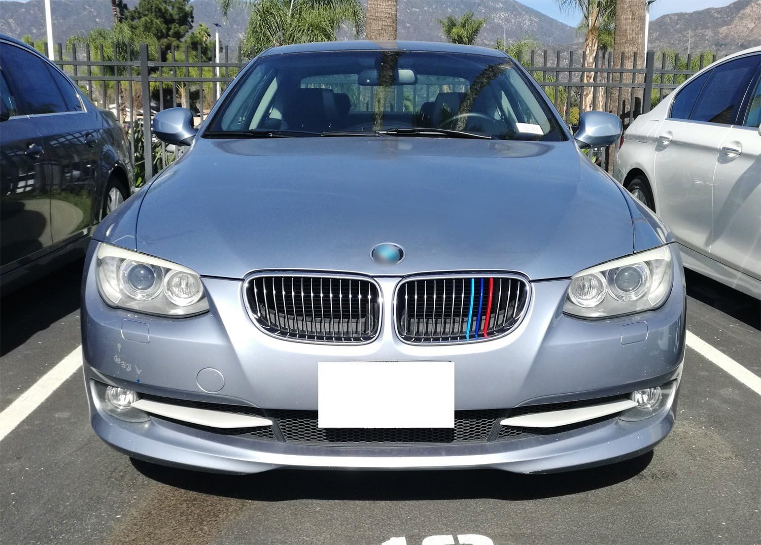 Lanyun Grille color Insert Trims cover Compatible with BMW E92 E93 3 series (11-13 E92 E93 3 series Coupe 13-Beam grillr insert)