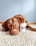 Review Image by Bosco our Vizsla Bosco our Vizsla