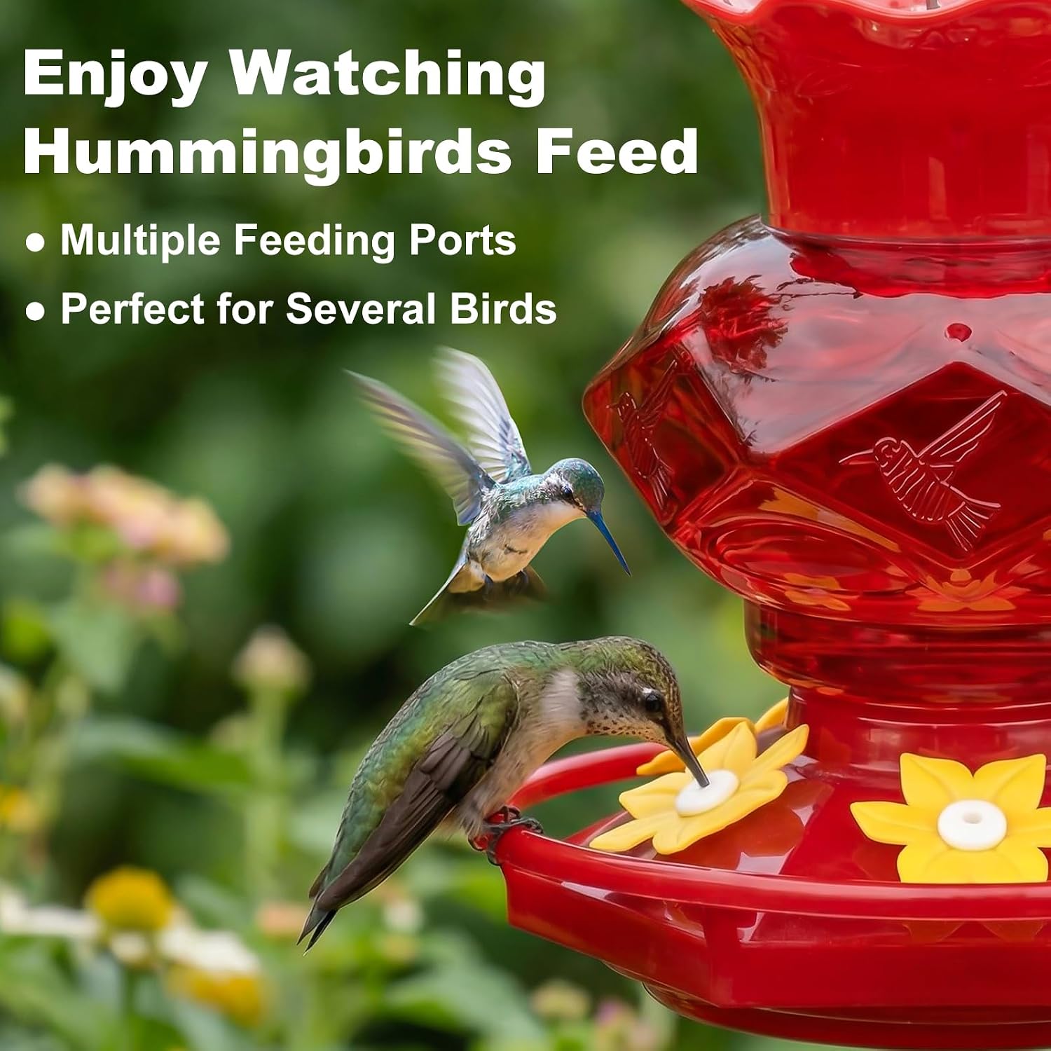 Hummingbird Feeders for Outdoors Hanging Ant and Bee Proof, 18OZ Diamond Humming Bird Feeders for Outside Circular Perch with Leak Proof & 6 Feeding Ports, Gifts for Women, Red 1 Pack Plastic image 3