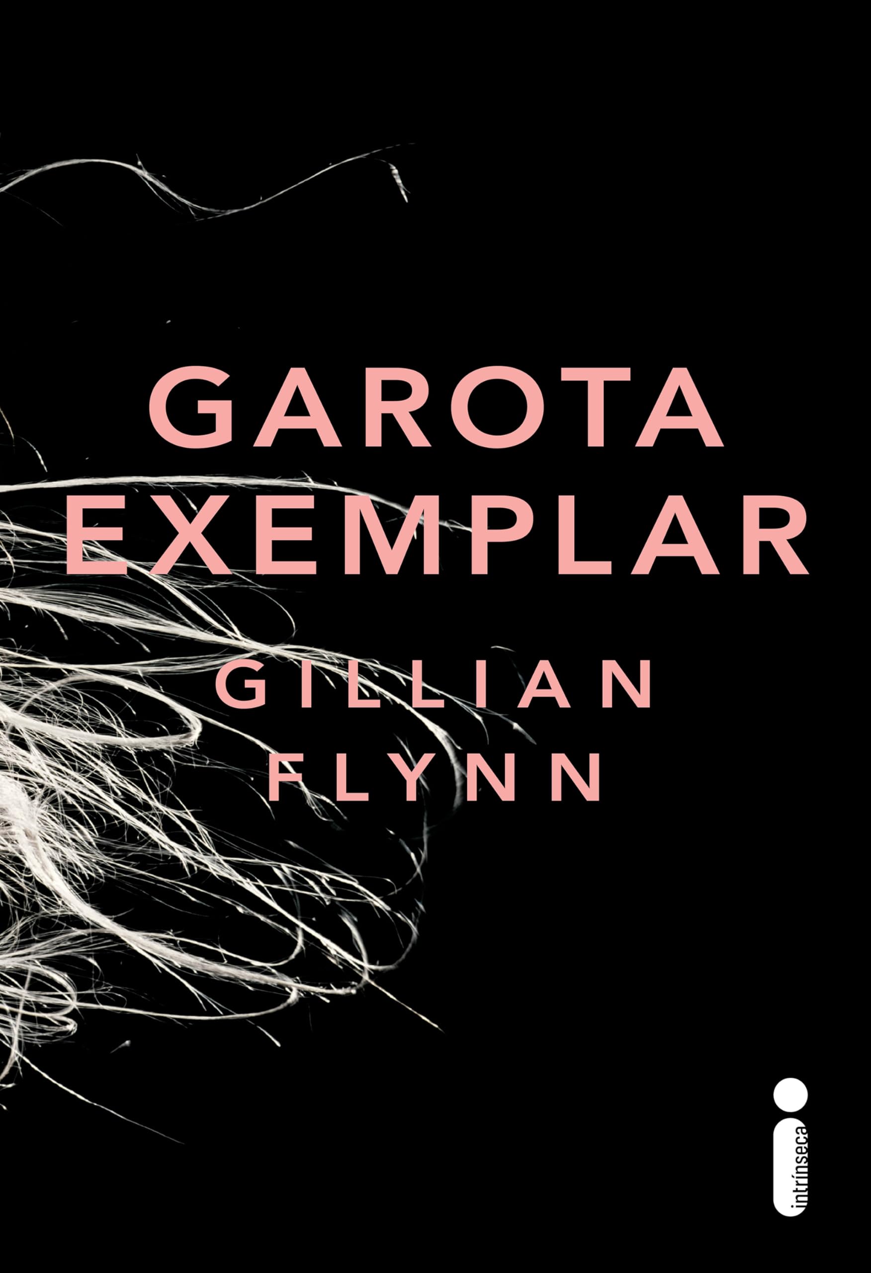 Garota exemplar (Portuguese Edition)