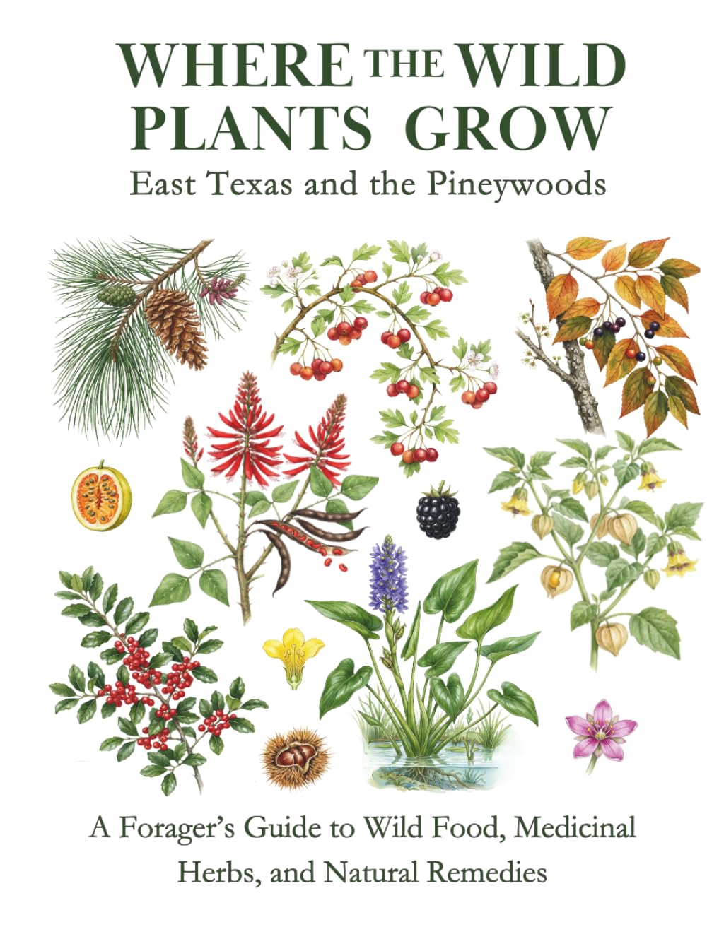 East Texas and the Pineywoods: A Forager’s Guide to Wild Food, Medicinal Herbs, and Natural Remedies (Where the Wild Plants Grow: Illustrated Foraging Guides)
