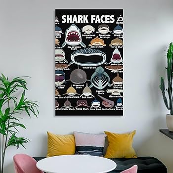Amazon.co.jp: アートパネル ポスター サメの顔 - サメの識別の