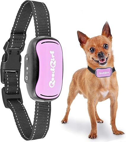 shock collar for cats amazon