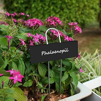 金属植物ラベル　温室用ガーデンマーカー Amazon.co.jp: 30ピース、金属植物ラベル、耐候性ガーデンマーカー、再