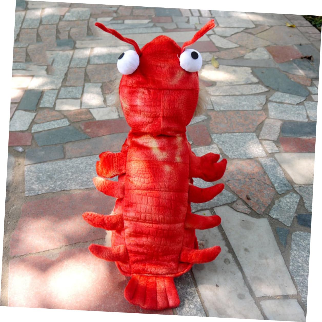 BESTYASH Costume per Cani Halloween a Forma di Aragosta Rossa in Cotone, Decorazione Creativa e Divertente, per Feste e Utilizzo Quotidiano senza Danneggiare Pelo
