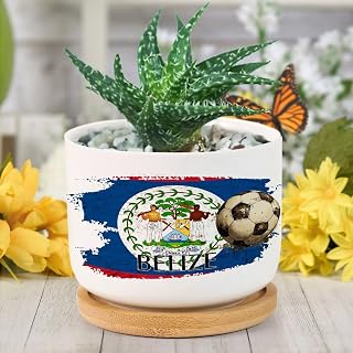DreamAutumn Planters Ceramic Soccer Theme Belize Flag Pots National Flags Ceramic Pots with Drainage Holes Round Flowerpot Bamboo Tray Plant Pots for Succuelnt and Little Snake Plants Pots