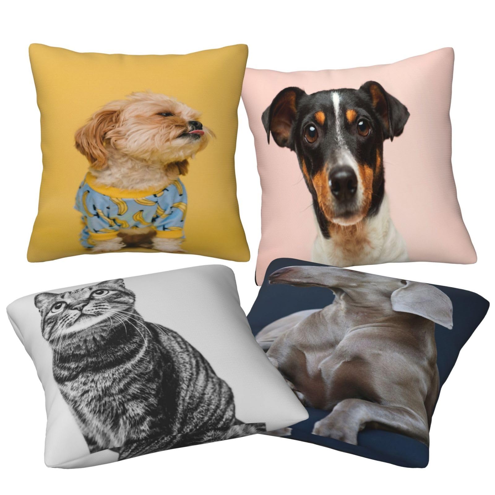 Fundas de Cojines Juego de 4 60x60cm Funda Cojin Felpa Corto Animales Cojines Decoracion Perros Fundas de Cojín Cuadradas Impresión Doble Cara con Cremallera Oculta,para Sofá Decoración Hogar24x24in