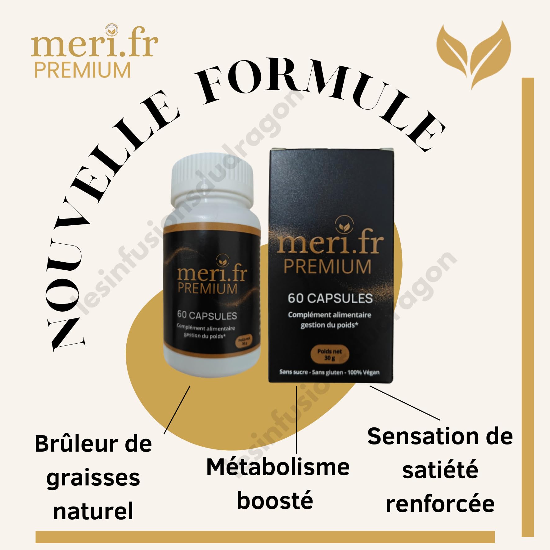 Meri.fr PREMIUM – Nouvelle Formule Efficace à la L-Carnitine | 60 Gélules Naturelles | Aide au Contrôle de l’Appétit & Métabolisme des Graisses | Expédié depuis la France