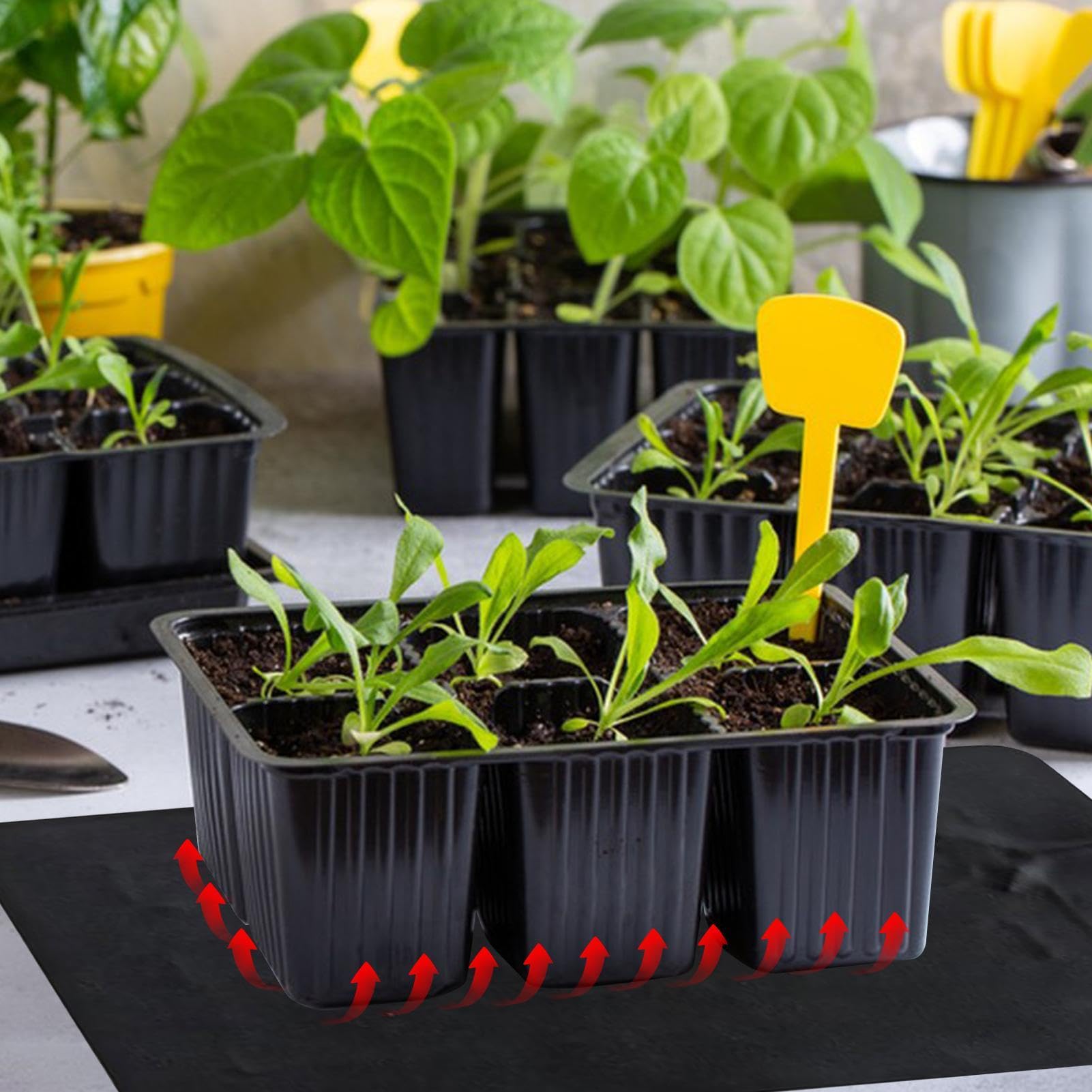 Exsivemy Seedling Heat Mat Durable Waterproof Heat Mat For Plants | INDIA