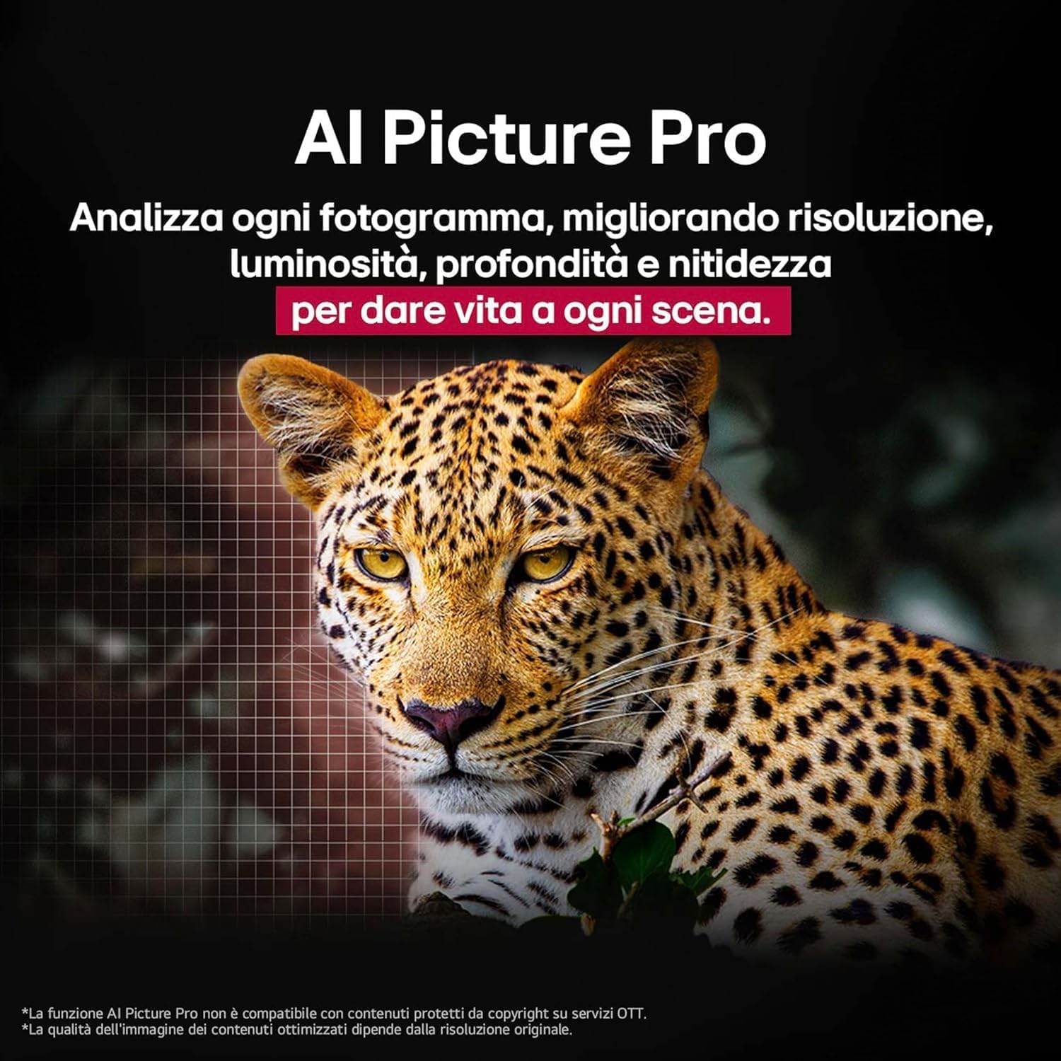 LG OLED evo AI G5 TV 55 pollici Smart TV 4K Base da appoggio inclusa Processore α11 Gen2 Brightness Booster Ultimate webOS con AI Dolby Vision Atmos VRR GSYNC 4K@165Hz OLED55G56LS 2025