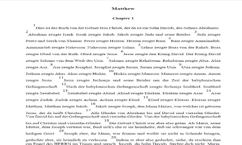 Die Bibel ist auf Deutsch – vue 5