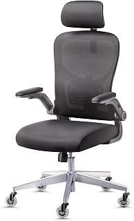 WINTONCOVE Chaise de Bureau Ergonomique