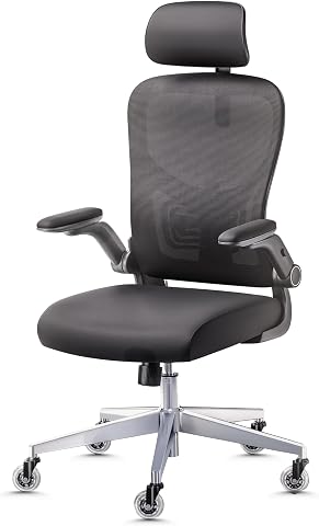 WINTONCOVE Chaise de Bureau Ergonomique