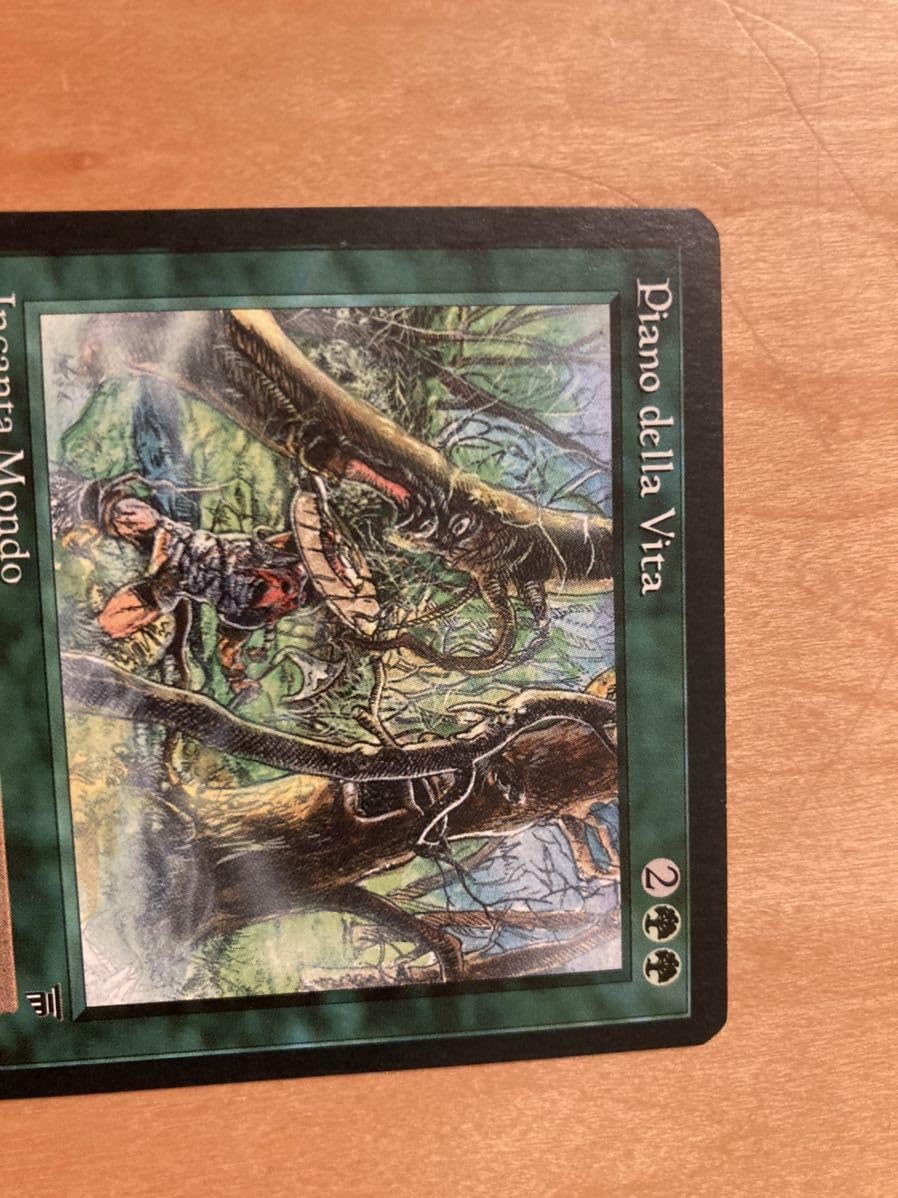 Amazon.co.jp: MTG LEG living plane 伊語 : おもちゃ