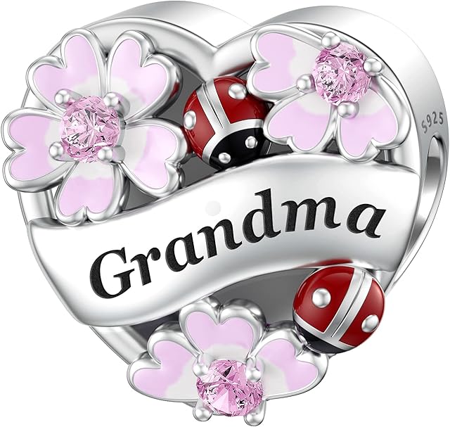 LANBEIDE Family Charms, 925 Sterling Silver Love Heart Flower Charms Bead fit Pandora Bracelet Mom Sister Friends Wife Charms Gifts for Women