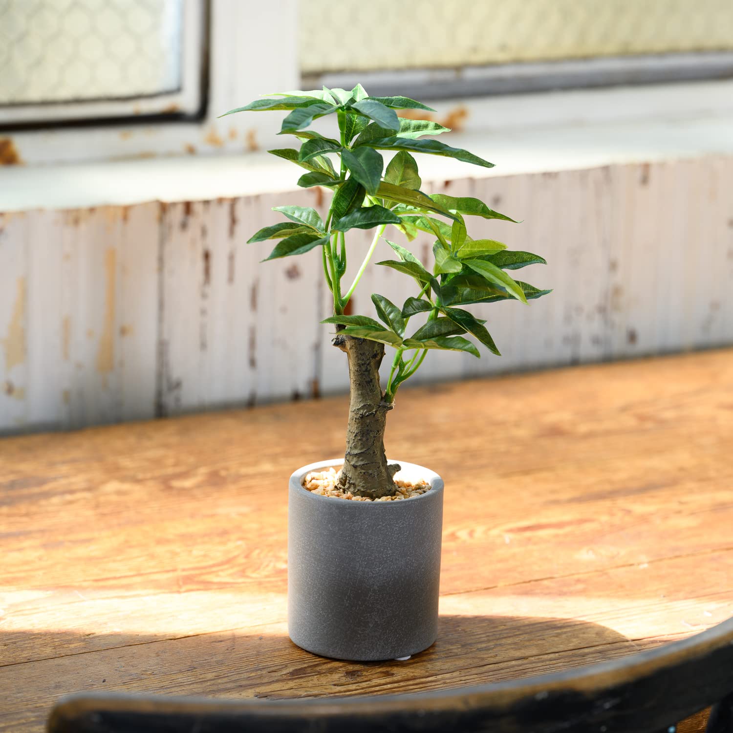 Amazon｜HANAYUKI 人工観葉植物 光触媒 フェイクグリーン パキラ 卓上 