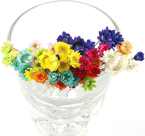 Miniatura 7 de 100 tallos naturales de flores secas brasileñas pequeñas estrellas margaritas decorativas flores secas mini margarita ramo de manzanilla para bodas,