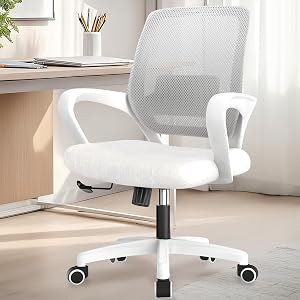 NEO Chair Office Desk Ergonomic Mesh Computer Chair with Lumbar Support Adjustable Height Swivel Rolling Wheels Comfy Mid