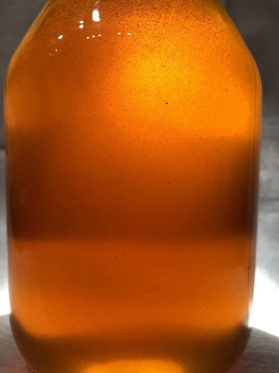 Local San Jose Wildflower Honey 3lbs