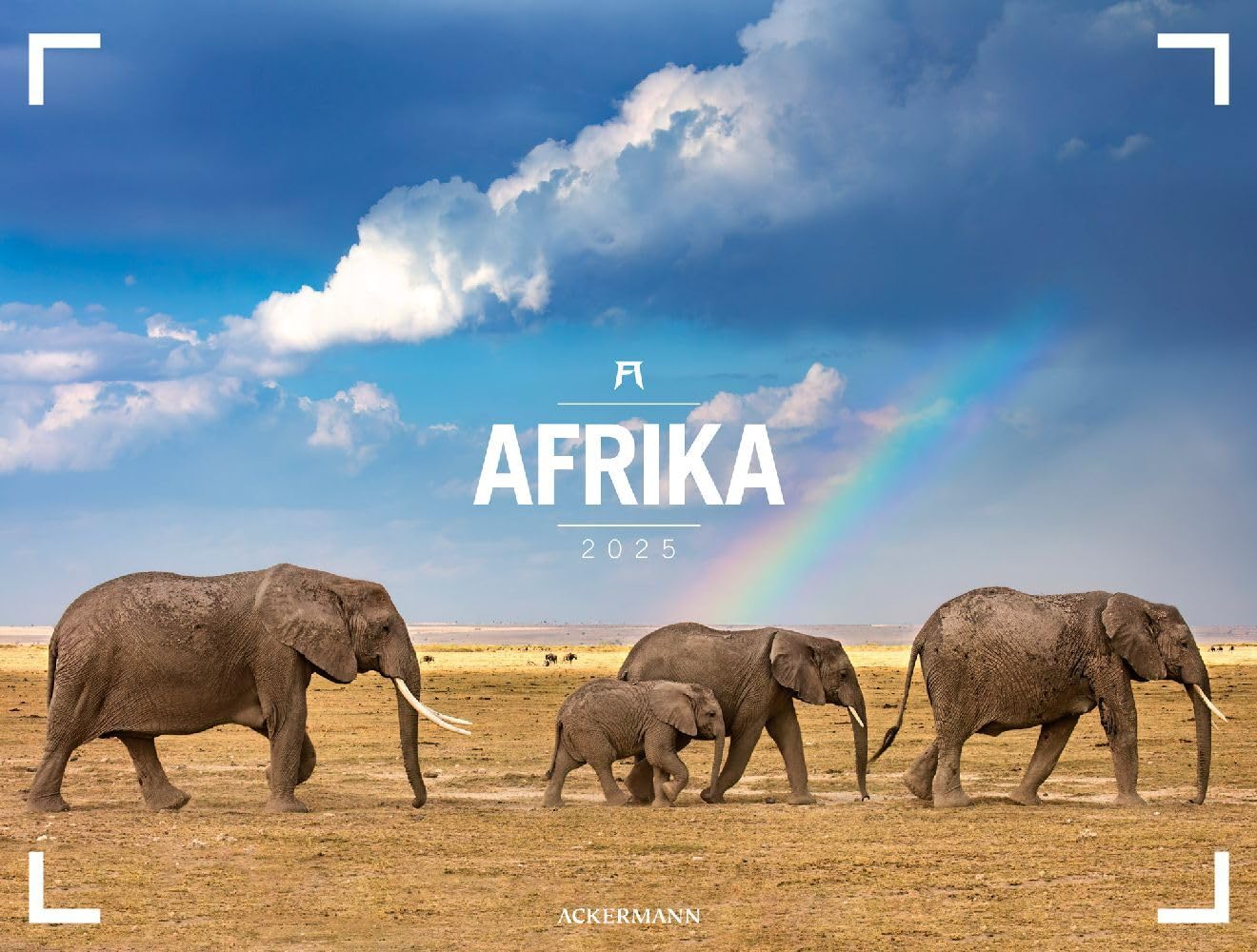 Afrika - Ackermann Gallery Kalender 2025, Wandkalender im Querformat (66x50 cm) - Großformat-Kalender / Hochwertiger Panorama-Kalender Tiere und Natur