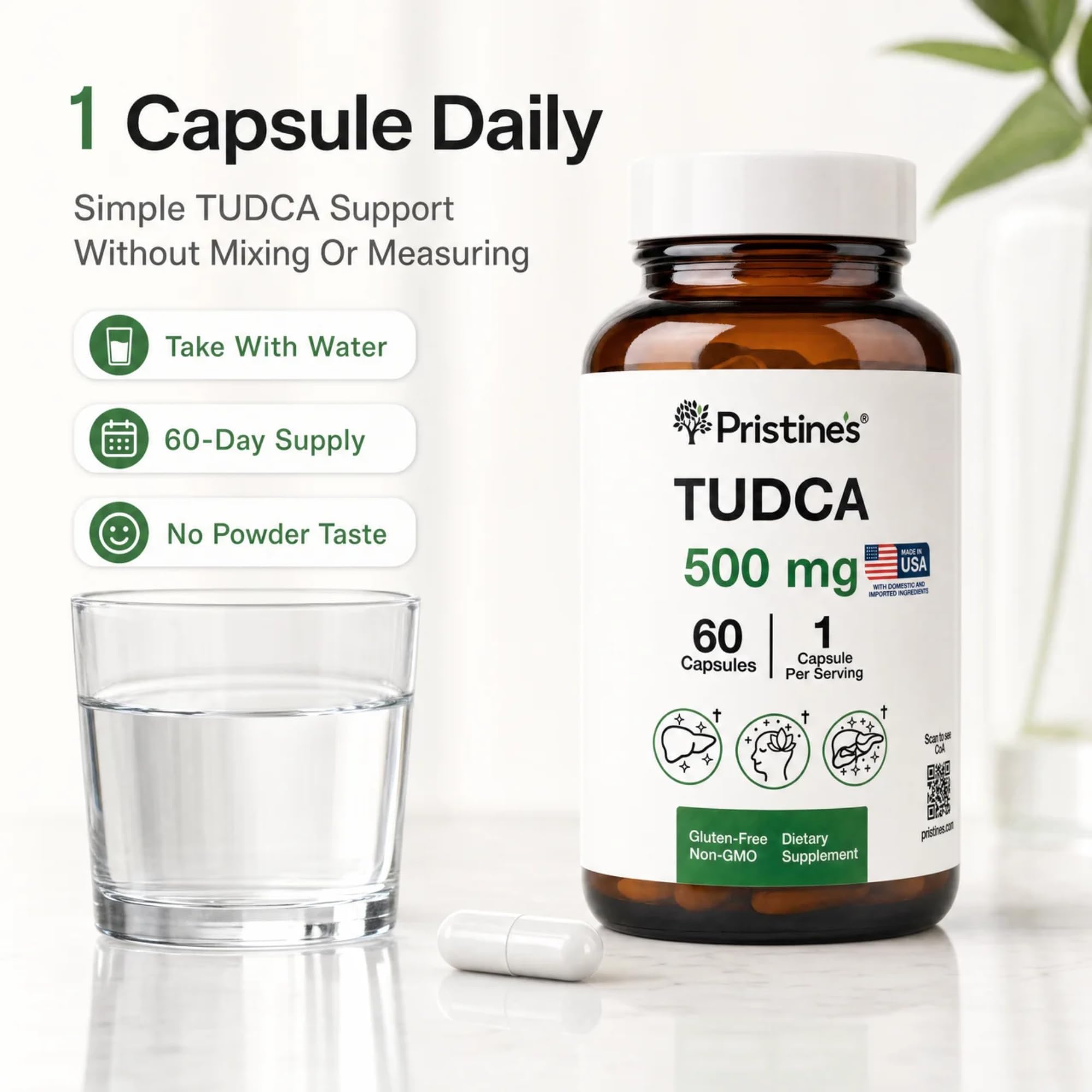 PRISTINE'S TUDCA Supplement 500mg Liver & Bile Flow Support Capsules 60 Ct — Amazon image 4
