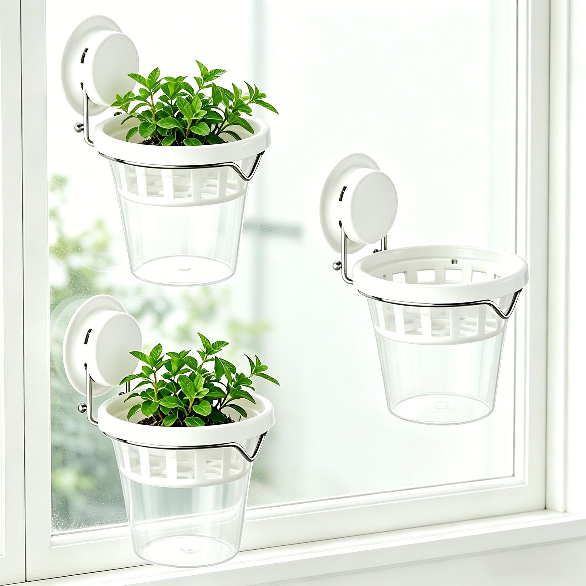 Amazon.com : VirgoLeo Set of 3 Plastic Window Planter with Suction Cup  Holder. Large Window Popagation. Clear Self Watering Window Mounted Plant  Pots. Window Sill Planters Extender for Indoor Hydroponic Plants :