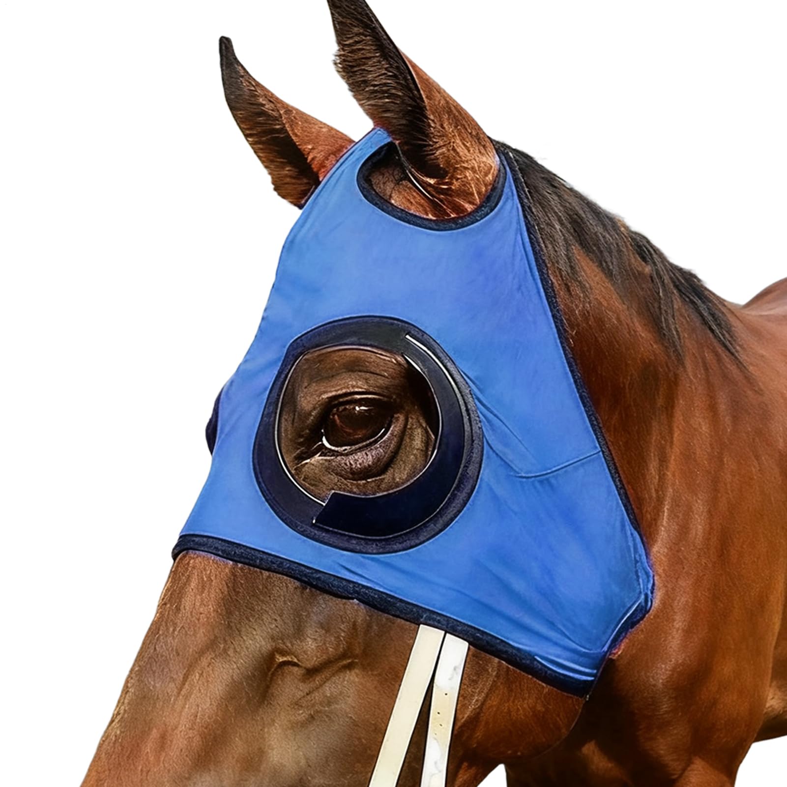 Paracolpi Oculari Per | Parabutte In Mesh Traspirante Con Flusso D'Aria - Paracolpi Per | Per Stalla Equitazione Competizione Allenamento Sport Equestri