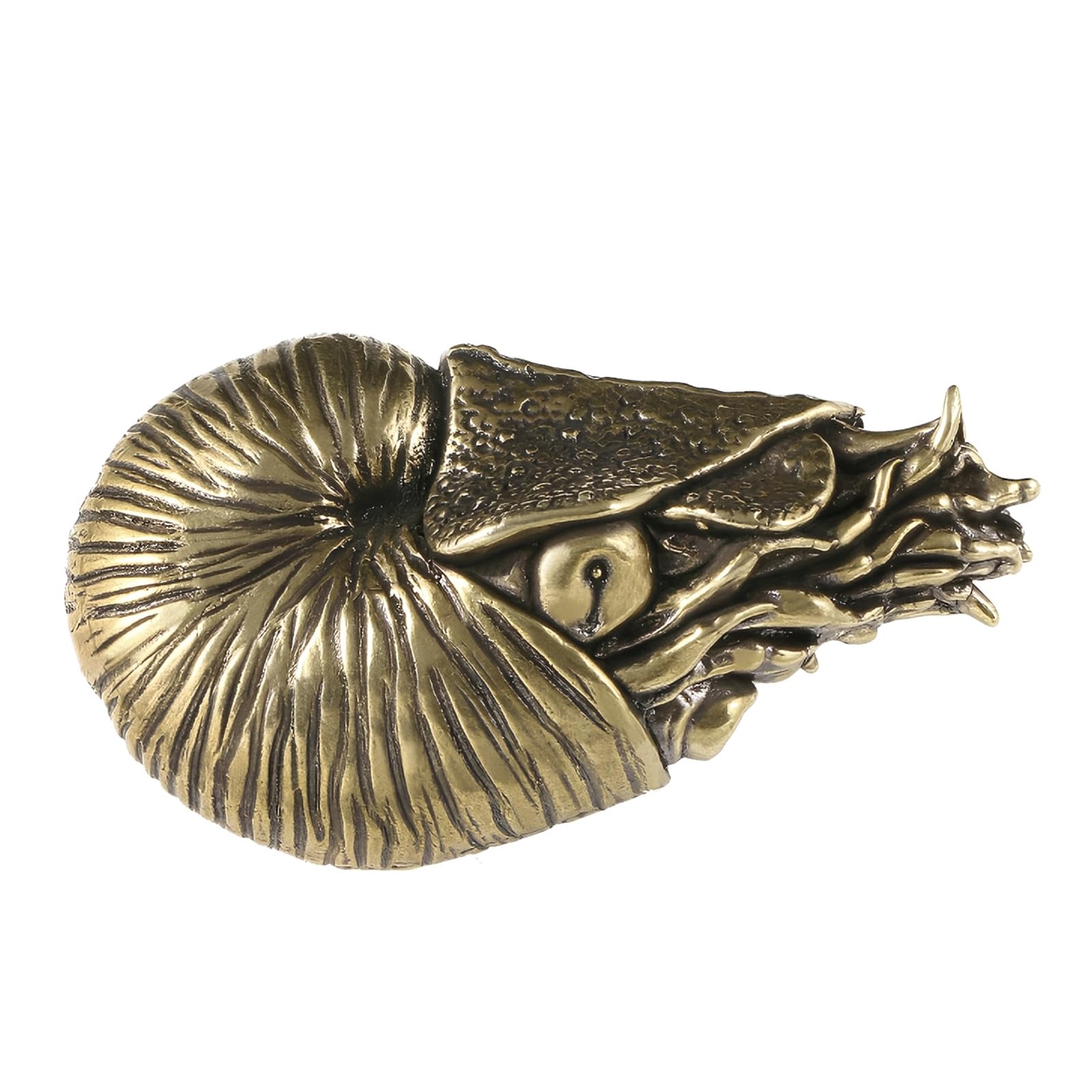 Figurine Naurilus animali in metallo Sculture Decorazioni per scaffali Accenti Centrotavola da tavolo Decorazioni per la casa Ornamento da tavolo