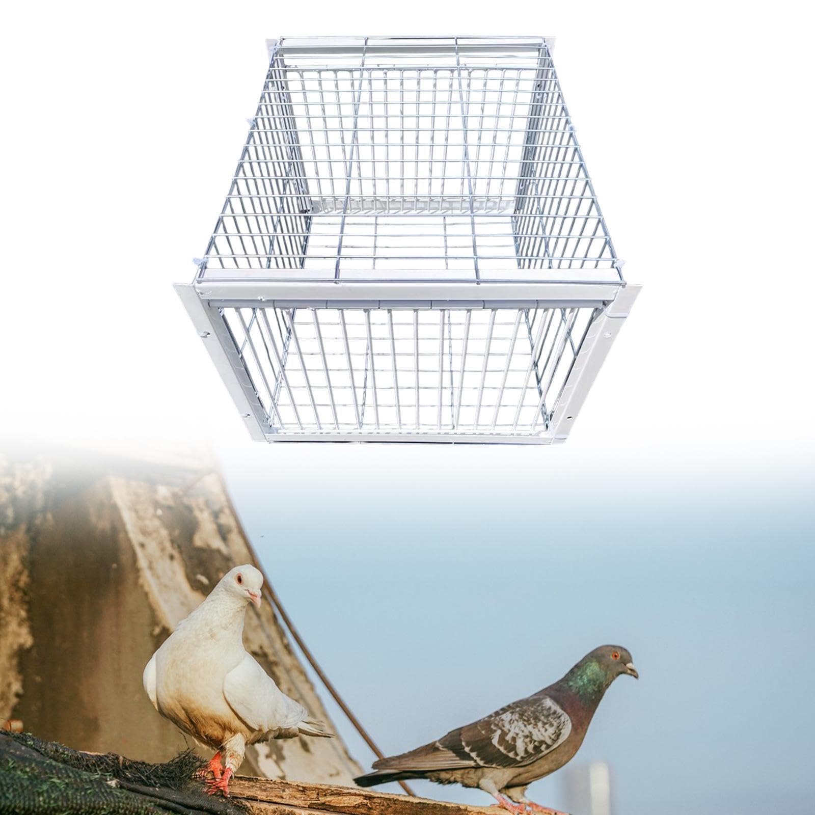Jaula para Palomas, Soldadura Metálica Impermeable, Atrapapalomas Automático, Animales para Gorriones en Tejados, Entrada de 2 vías