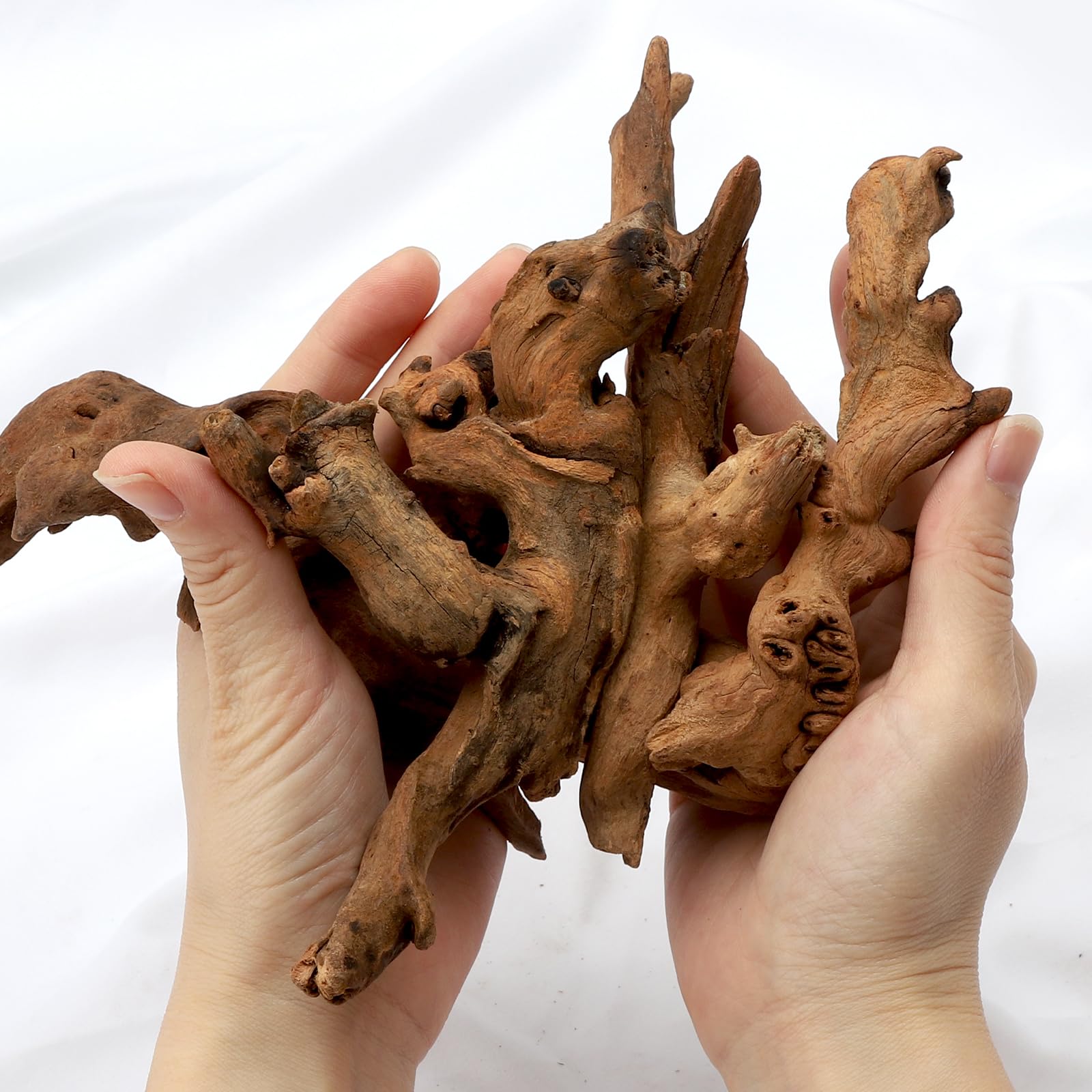 6 pezzi piccoli legni naturali e piante acquatiche simulate per acquari, legni naturali e rami, legno per acquari, decorazione di rami per bacini rettili, terrario (10-15 cm)