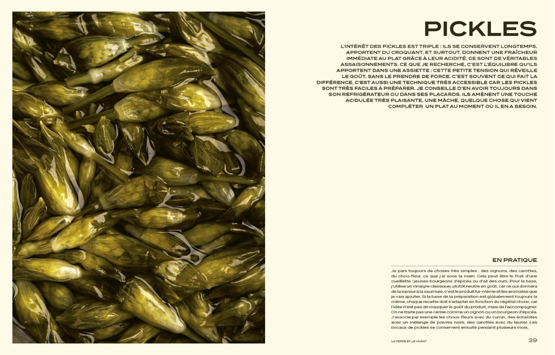 100 créations culinaires inspirées par la terre et le vivant