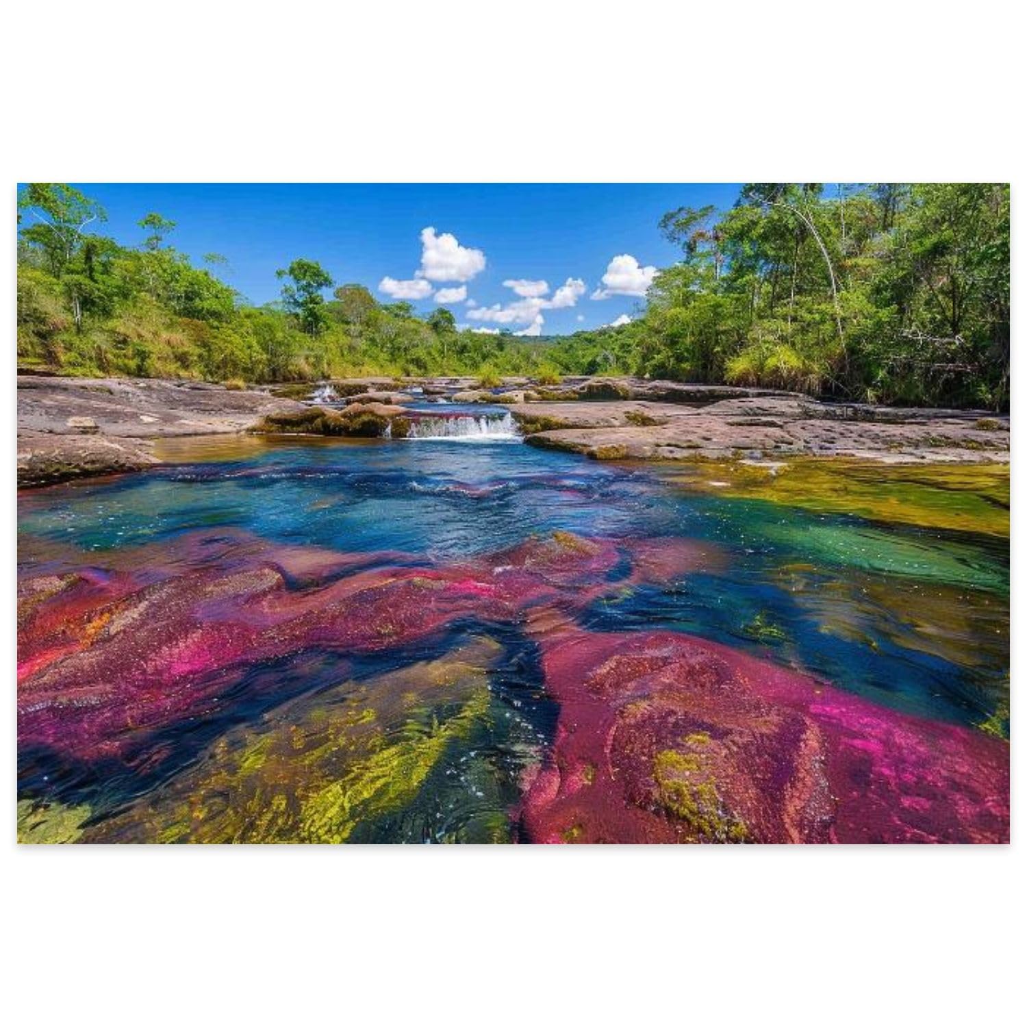 VETEB Jigsaw Puzzles 500 Pieces for Adult Colombia Cristales National Park Serrania de la Puzzle Game for Family Wooden Puzzle Toy Educational Games