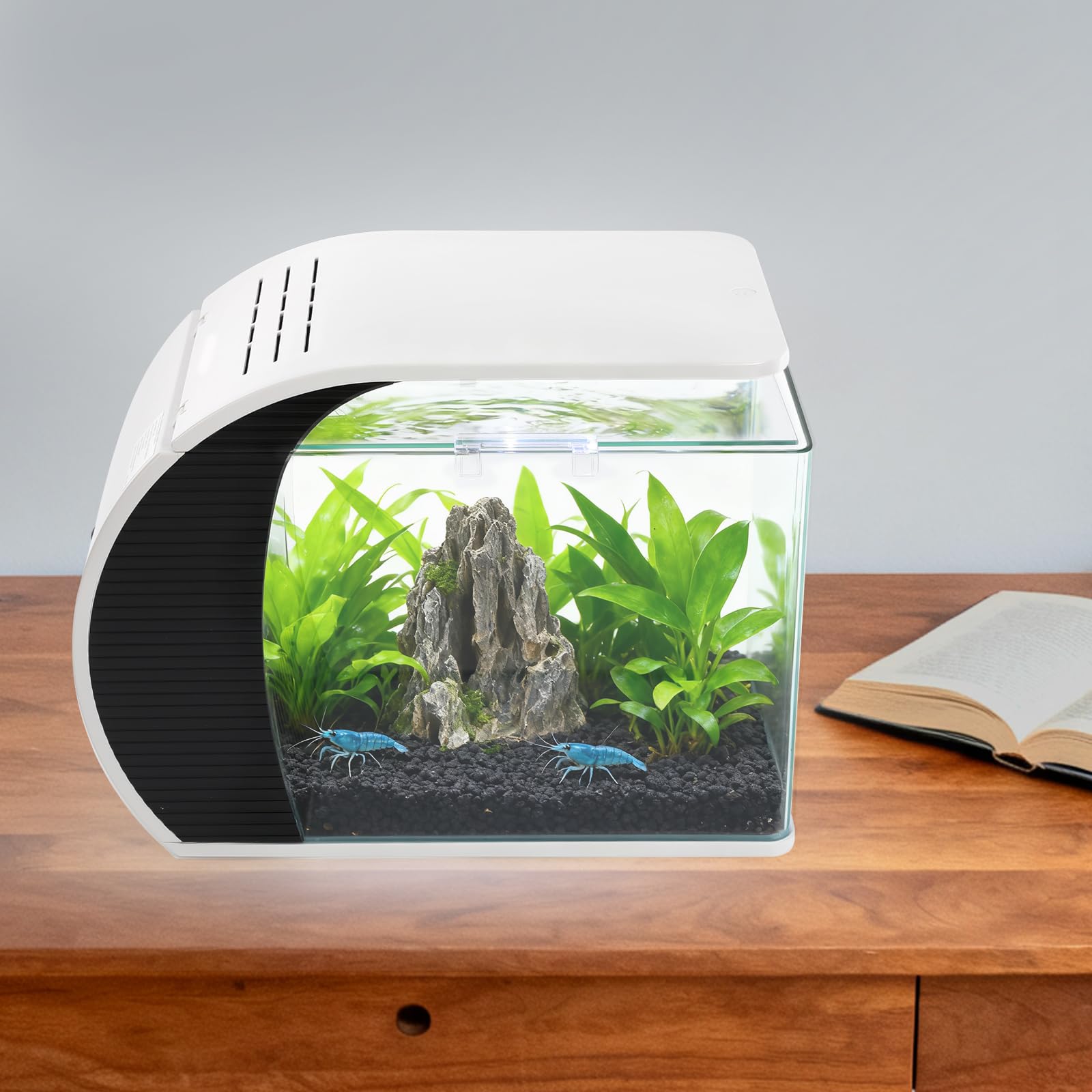 Pequeño Acuario Juego Completo con Bomba de Agua, Iluminación LED y Sistema de Filtro Incorporado, Tanque de Peces de Cristal para Hogar y Oficina para Peces Gambas, 42,3 x 22,6 x 1,5 cm