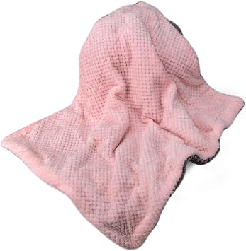 DG Plush Fleece Receiving Blanket for Dog, Cat, Pet - Warm & Soft, Couch, Sofa, Travel & Outdoor, Camping (24 x 32), Baby Pink