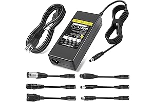 Electric Scooter Charger: 42V 2A Smart Fast Charger for Li-ion Battery Electric Scooters
