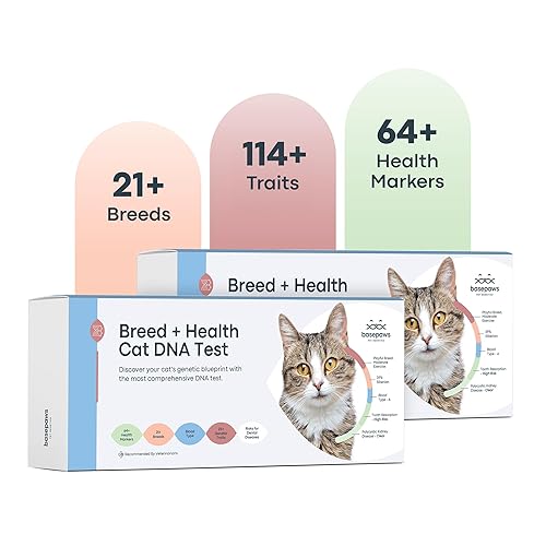 Basepaws Cat DNA Test Kit 2 Pack- Comprehensive Breed, Health and Dental Analysis Across 114 Traits for Accurate and Easy-to-Use Genetic Insights - Cat Breed + Health DNA Test (2 Pack) - Basic