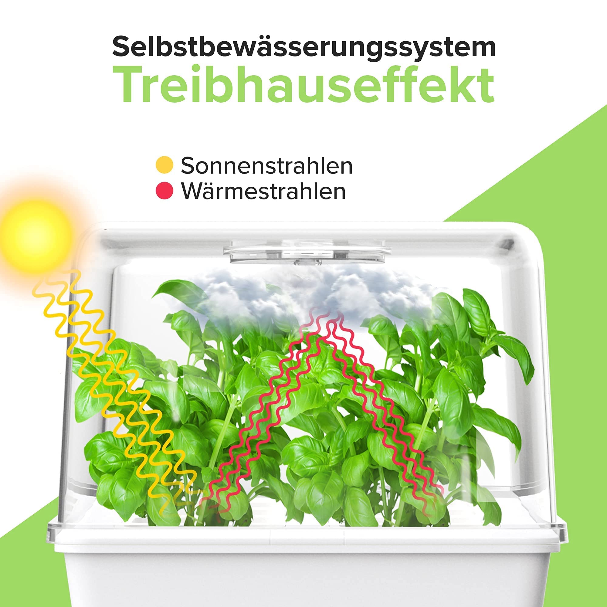 Mini Gewächshaus - Zimmergewächshaus mit Selbstbewässerung - Anzuchtkasten für Stecklinge - Anzuchtset für die Fensterbank & Indoor Kräutergarten