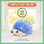 XXTOYS Kit de culture en cristal pour enfants - 4 Hedgehog coloré vibrant à grandir - Kits scientifiques pour les enfants de 6 à 8 ans, Jouets pour les garçons de 8 à 12 ans, Idées cadeaux pour 9 Les filles de l'année, STEM Projets